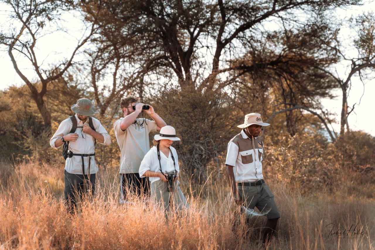 Gabus Safari Lodge Otavi Extérieur photo